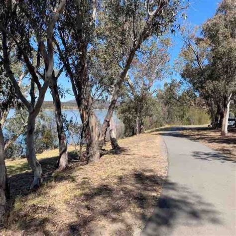 gay cruising canberra|Black Mountain peninsular, Canberra